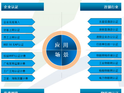 企業(yè)寬帶無線計費系統(tǒng)的構(gòu)建與優(yōu)化：藍海卓越的最佳實踐